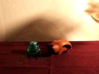 dude plays saxophone - nothing works
