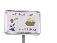 du fauchage tardif à la prairie fleurie