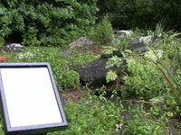 A Walk through Garden in the Woods