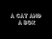 A Cat & A Box