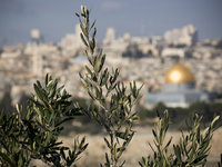 Jerusalem United