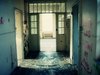Asylum