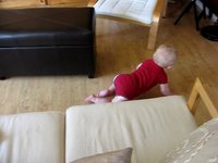 Gryffin_11mos