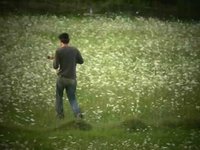 Edwin Brooks - BumbleBees - Live Performance