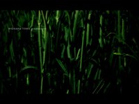 title sequence
