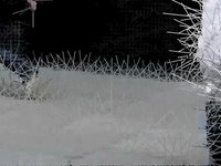 plasma4_cut1