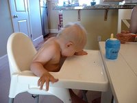 Drinking Water Like a Puppy