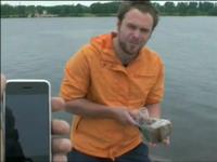Webtel coverage test