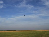 A good fly