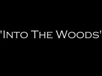 "Into The Woods" - TORN 2009 Year-In-Review DVD Trailer