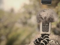 Zoom H2 + Canon 5D Mark II + RedHead Windscreen + High Winds + Audio Sync
