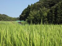 The village of nature in Nishio city, Japan shot by EOS 5D Mark II