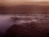 The Trash Dump