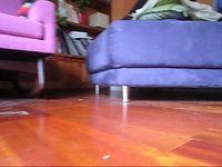 What the Roomba sees