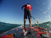 Sunshine SUP Downwind