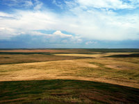 Magnificent Desolation