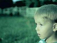 Lumix GH-1 and Film-look Color Correction