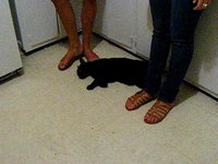 Katink