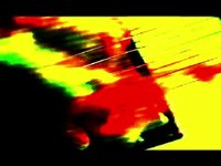 The Ganjas - Dance Hall