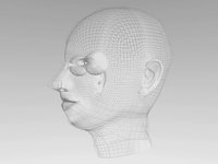WIP Head