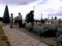 Delegación de Punta Arenas en el Jamboree del Centenario