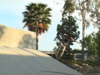 Skate Update 2
