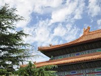 China 2009