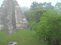 Tikal