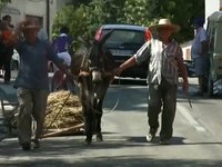 Sagra della trescatura 2009 - Caprara D'Abruzzo