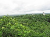 Tikal - Temple 4