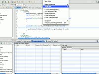 Flash Builder 4: Network Monitor and new debugger options