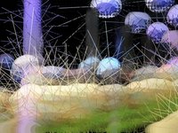 plasma5_cut1