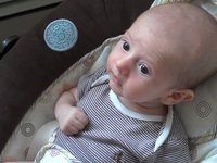 Baby Poo Poo Song