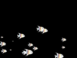 2371248_160