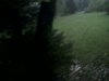 StormLife