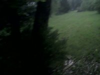 StormLife