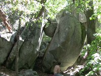Greenerer Pastures [v9]