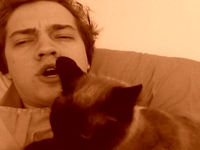 I Am A Weird Cat Person, Part II: Lil Weezy