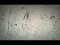 Double Headed Seagulls - 011