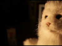 Kitty Katastrophe