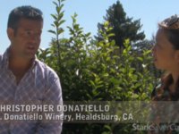 Wine and Live Music at C. Donatiello in Sonoma