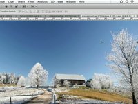 Snowy Scene - NAAP Contest
