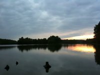 lac