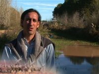 Ciervo de los Pantanos - Apn Audiovisual
