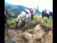 Trip Laguna de los Condores, Video Part.3
