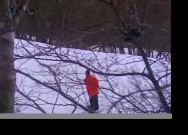 詳細を見る