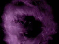 CANDY GIRLS: a photo essay in drag