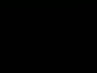 art show video