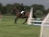 Muffin @ The Midland Championships 2009