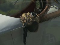 Great War Display Team